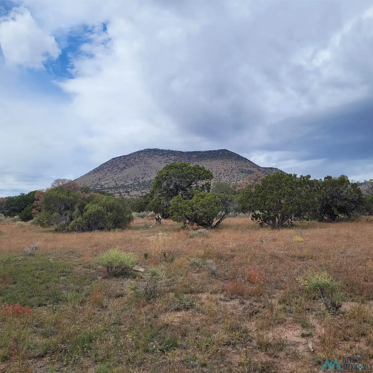 15 Elk Court, Datil, NM 5 - Image #1