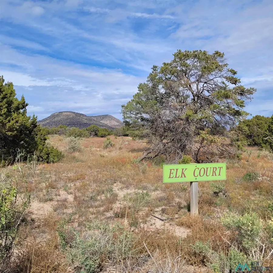 15 Elk Court, Datil, NM 5 - Image #2