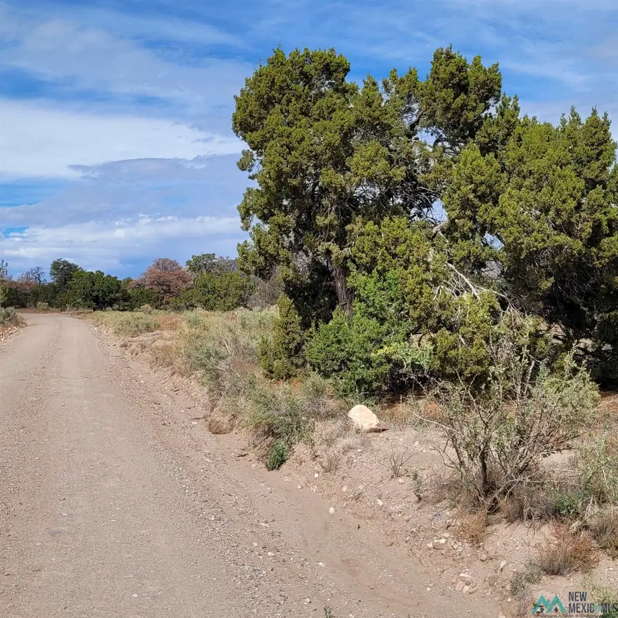 15 Elk Court, Datil, NM 5 - Image #3
