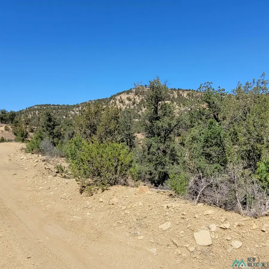 55 Paint Pony Trail, Pie Town, NM 5 - Image #2