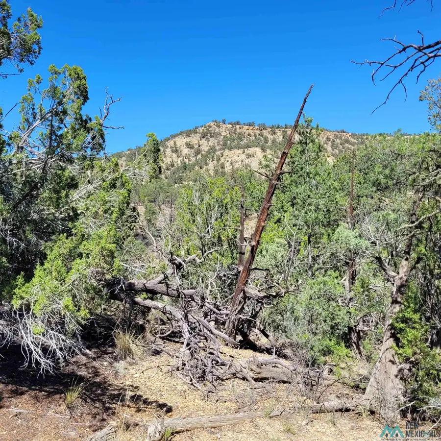 55 Paint Pony Trail, Pie Town, NM 5 - Image #3