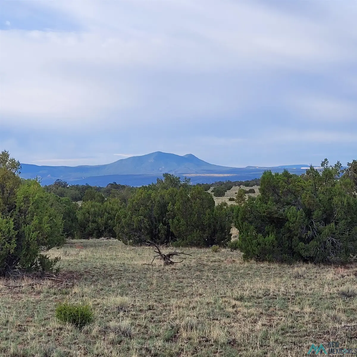 Xx Indian Springs Road, Quemado, NM 5 - Image #1