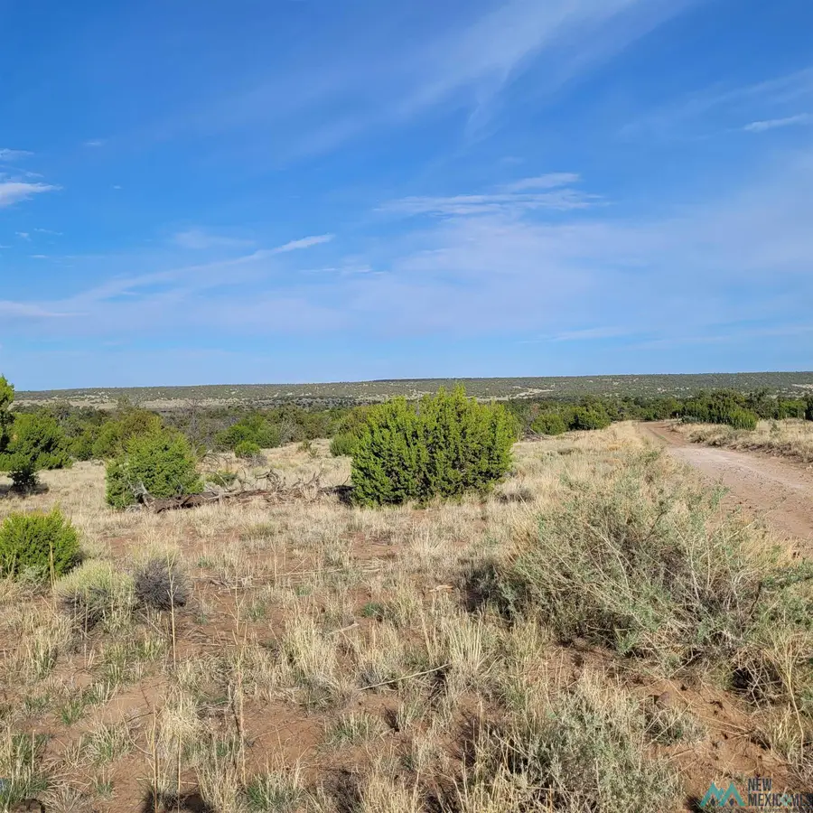 Xx Indian Springs Road, Quemado, NM 5 - Image #2