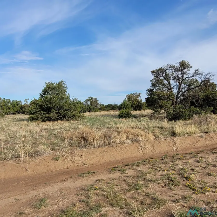 Xx Indian Springs Road, Quemado, NM 5 - Image #3