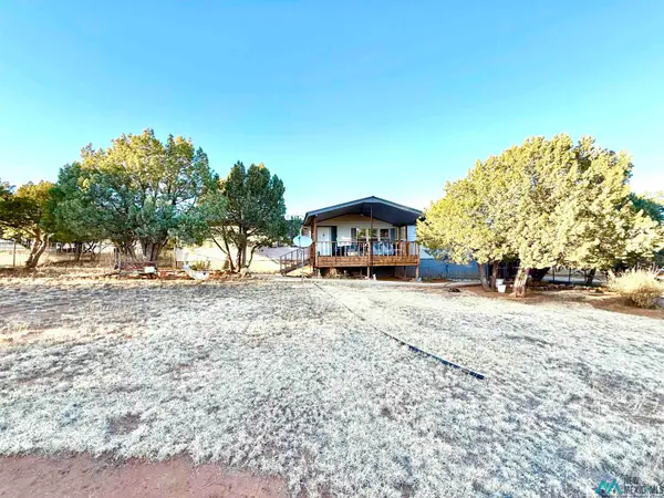 47 Turkey Canyon, Carlsbad, NM 88220