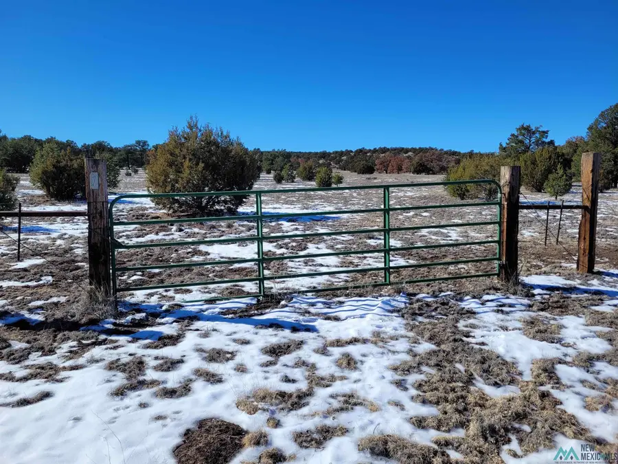 1 Jackass Lane, Datil, NM 5 - Image #2