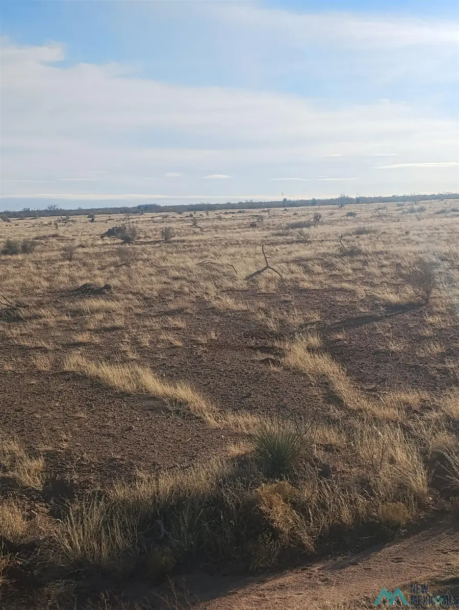 XXXX Blazing Trail Se, Deming, NM 88030 - Image #3