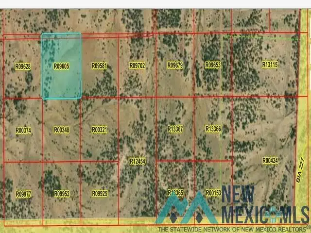 LOT 40 La Tinaja Trail, Pinehill, NM 87357 - Image #1
