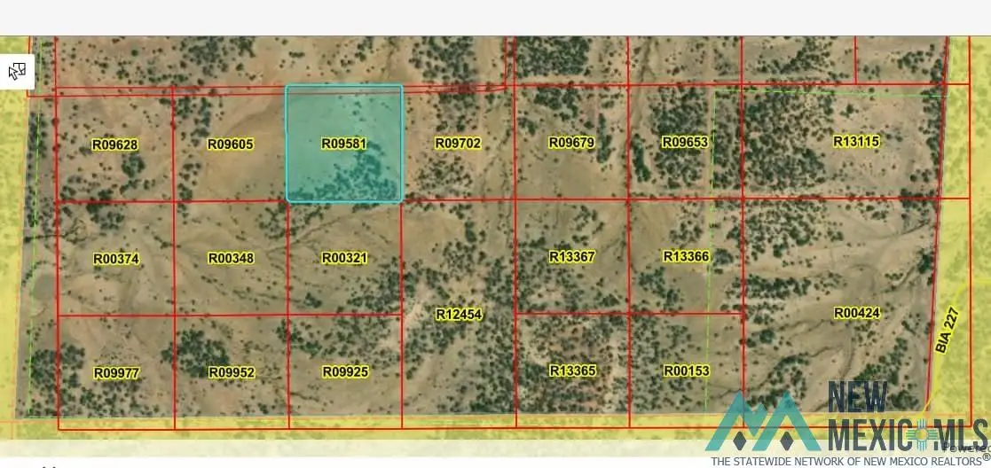 LOT 41 La Tinaja Trail, Pinehill, NM 87357 - Image #1