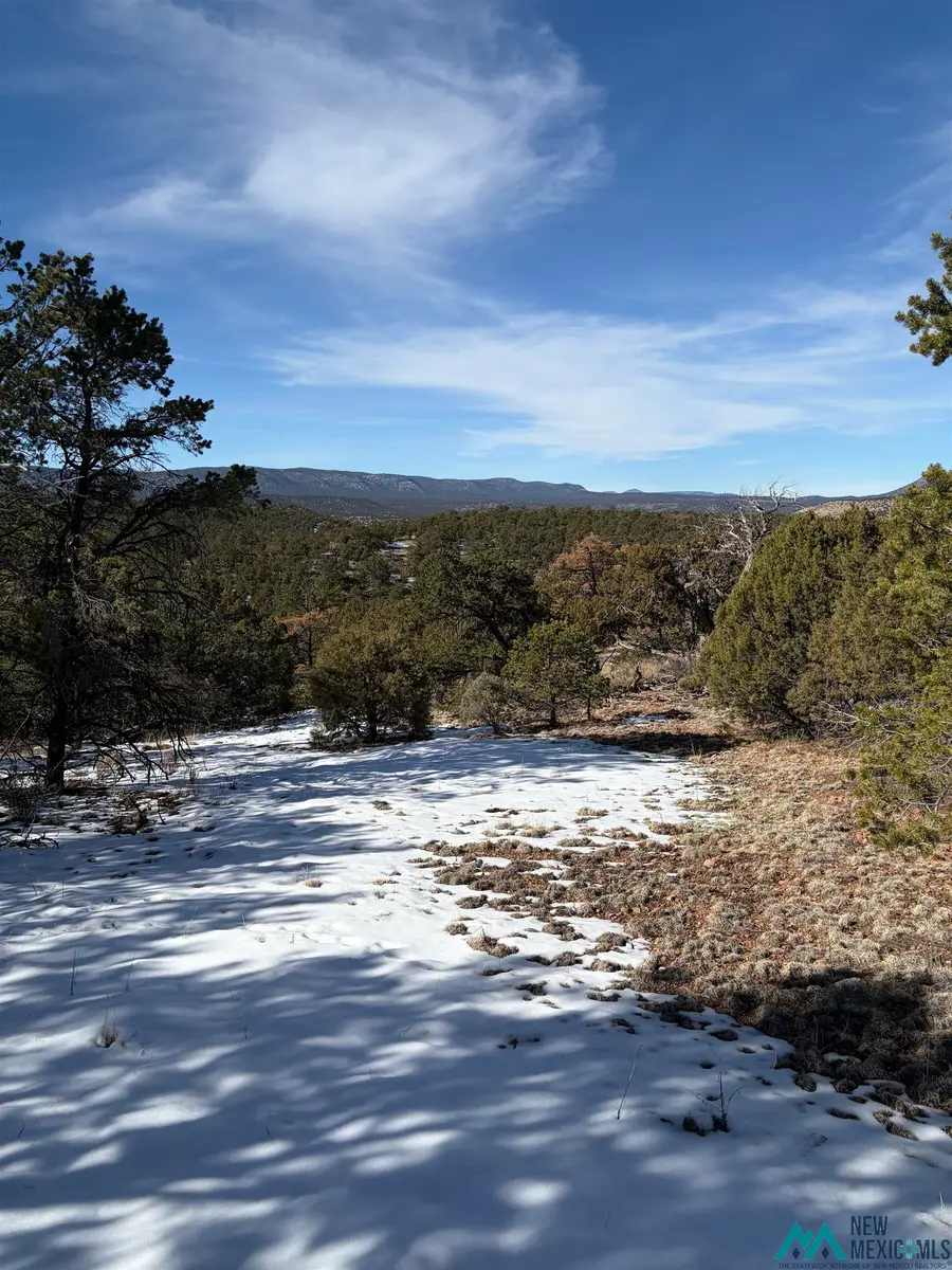 63 Horse Peak Trail, Datil, NM 87821 - Image #3
