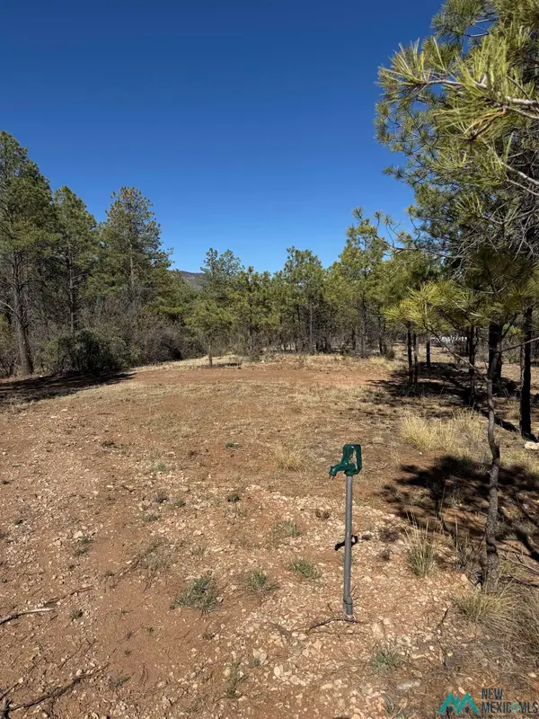 Lot8&9 Winter Drive, Timberon, NM 88350