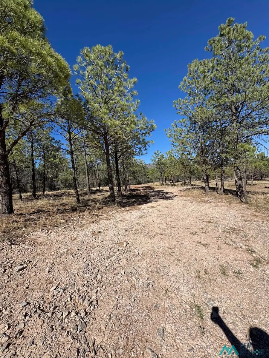 Lot8&9 Winter Drive, Timberon, NM 88350 - Image #2