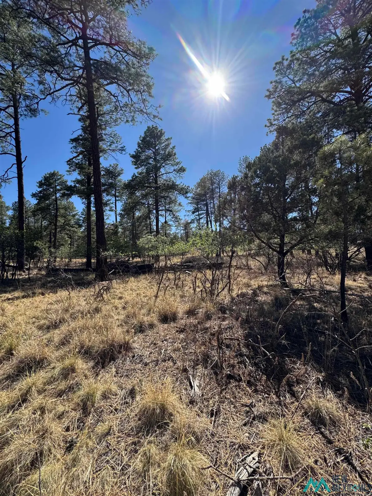 Lot95 Tonto Drive, Timberon, NM 88350 - Image #1