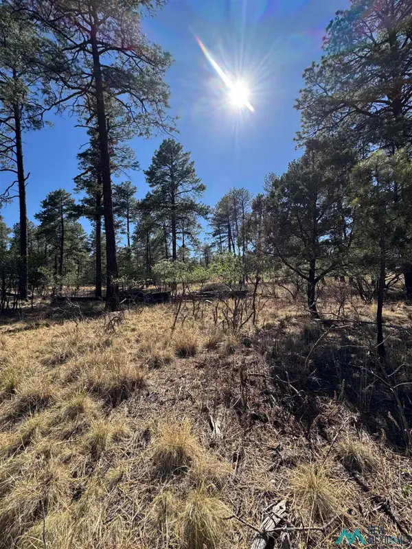 Lot95 Tonto Drive, Timberon, NM 88350