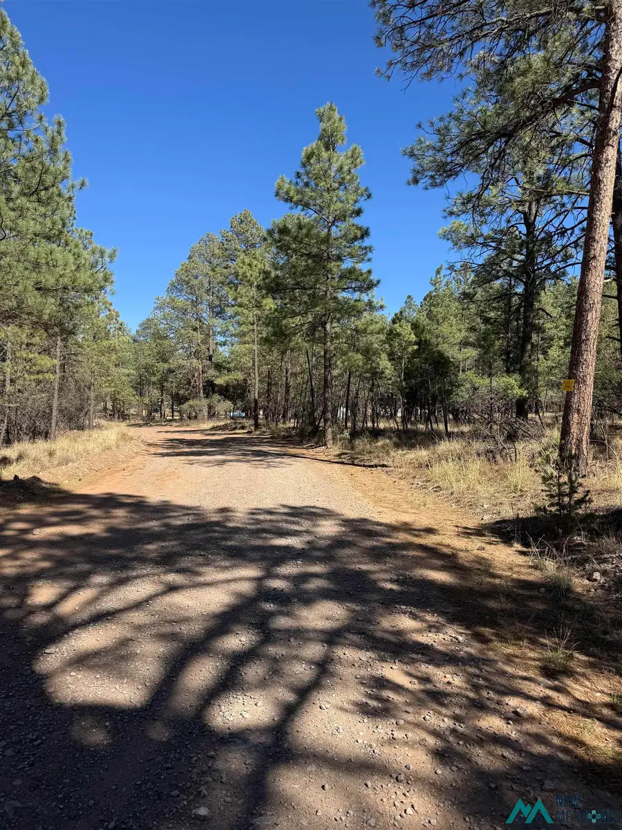 Lot95 Tonto Drive, Timberon, NM 88350 - Image #2