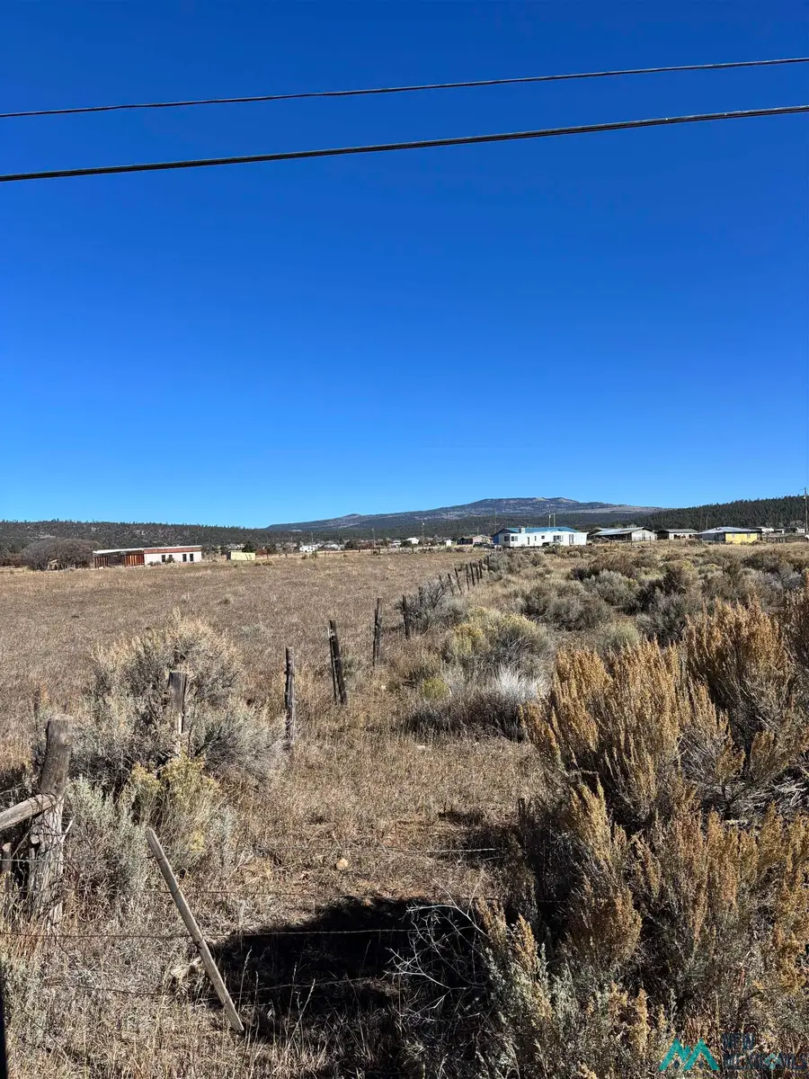 TBD County Rd. 115, Canjilon, NM 87515 - #3