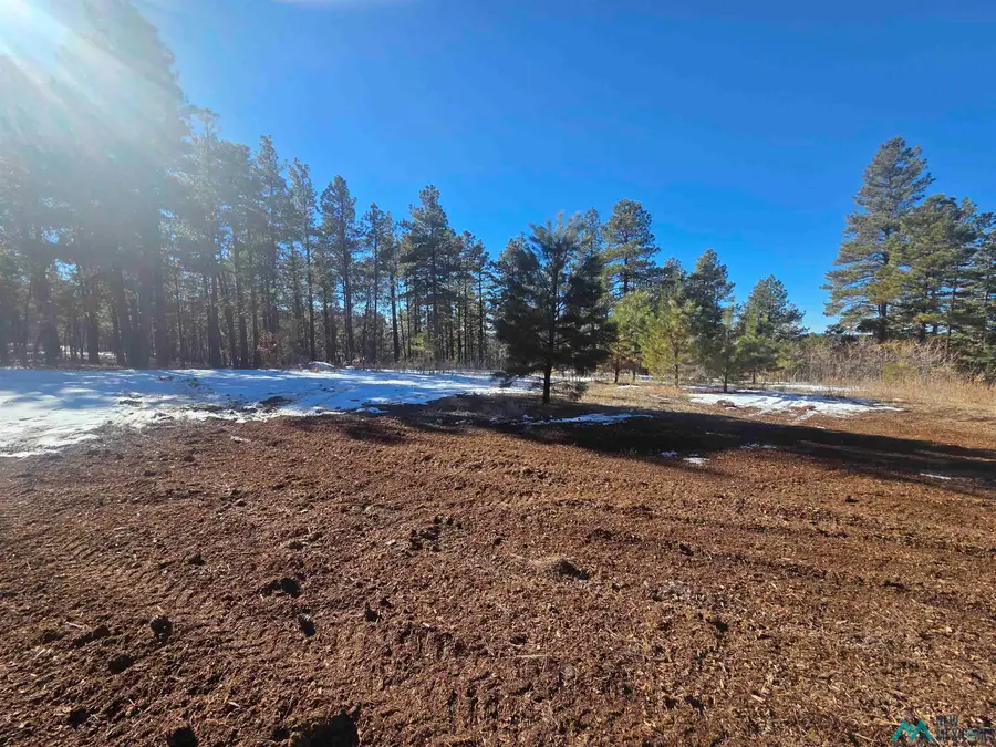 1 La Espuela Drive, Chama, NM 87520 - Image #3