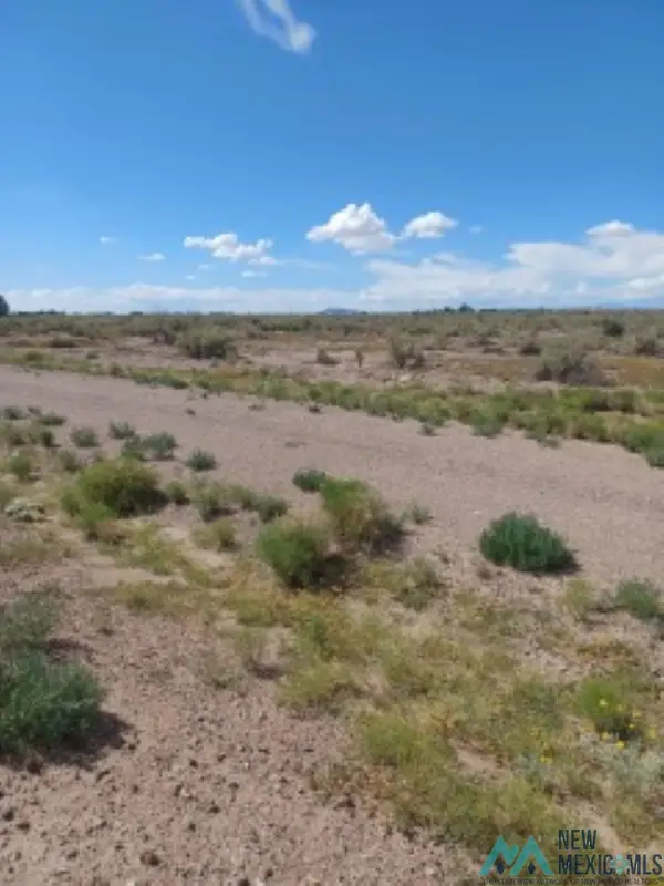 Lot 22 Tbd Maverick Road, Deming, NM 88030