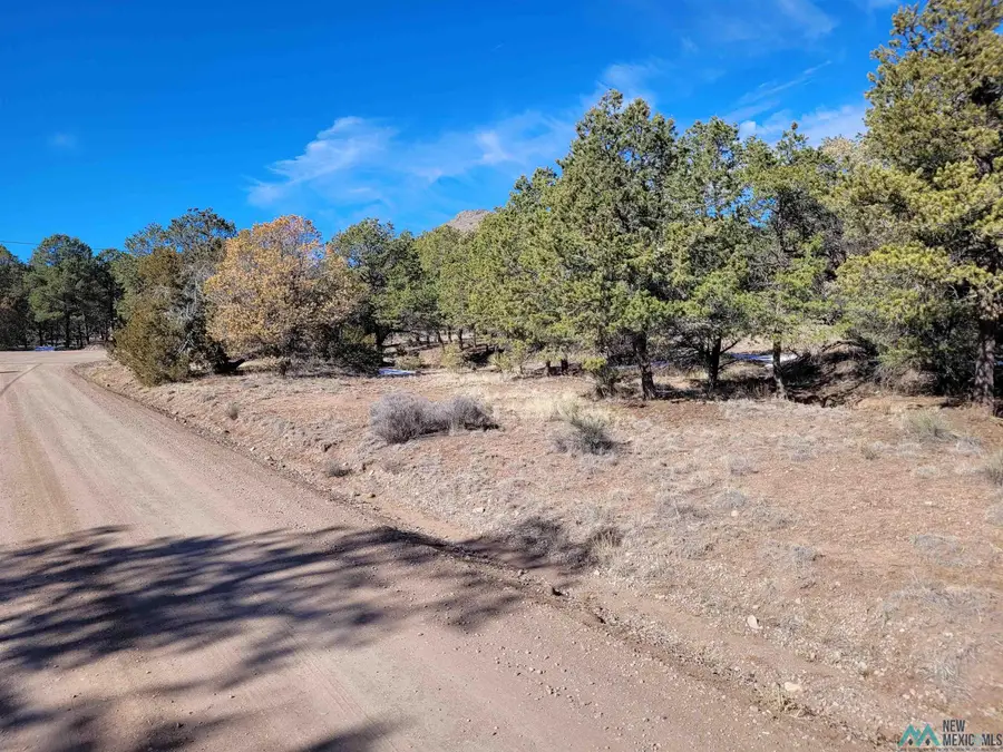 Xx Homestead Trail, Datil, NM 87821 - Image #3