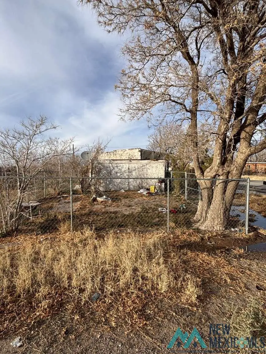 401 W 2nd Street, Deming, NM 88030 - Image #2