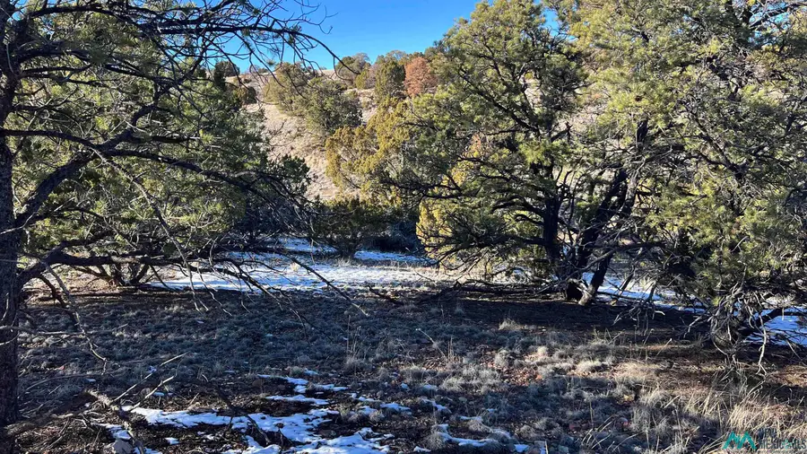 TBD Chamisa Trail Road, Quemado, NM 87829 - Image #2
