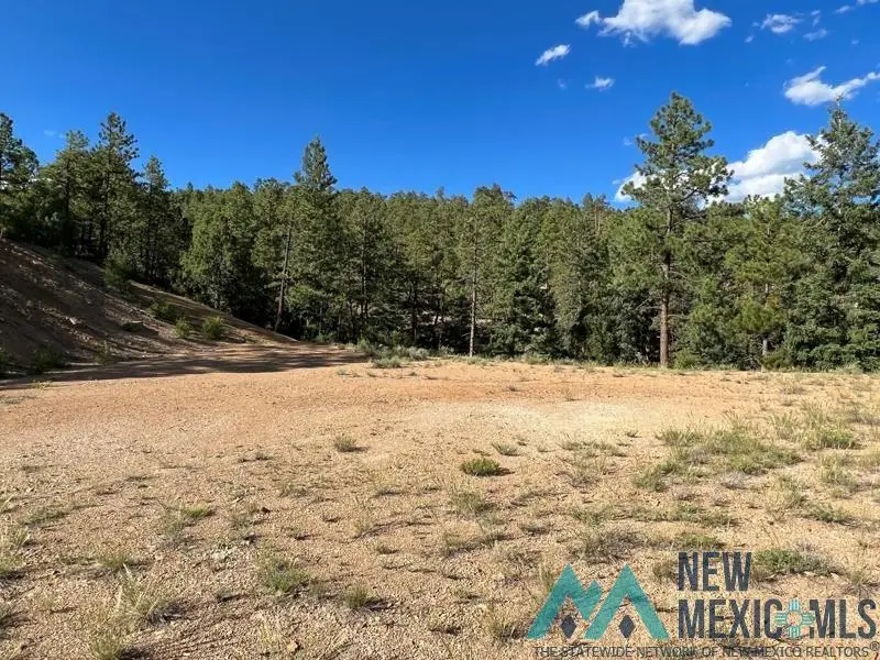 TBD Vega View Road Road, Chama, NM 87520 - Image #1