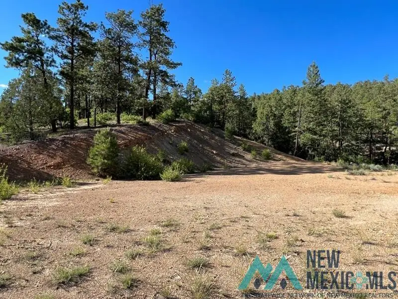 TBD Vega View Road Road, Chama, NM 87520 - Image #2