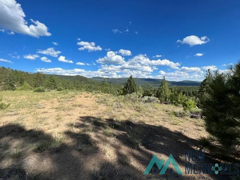 TBD Vega View Road Road, Chama, NM 87520 - Image #3