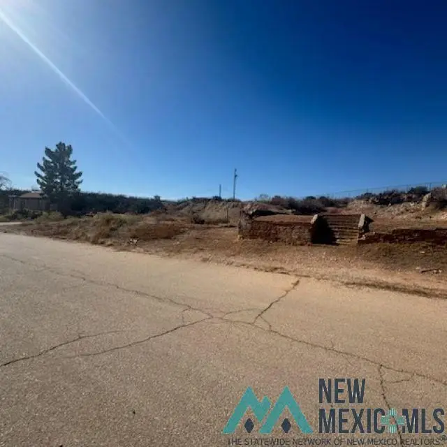 1309 Lopez Street, Carlsbad, NM 88220 - Image #2