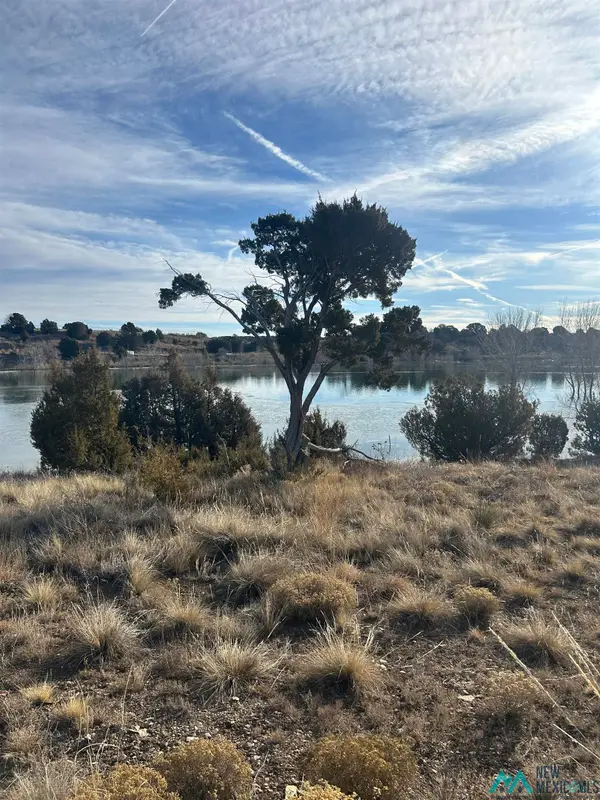 31 Muir Street, Las Vegas, NM 87701