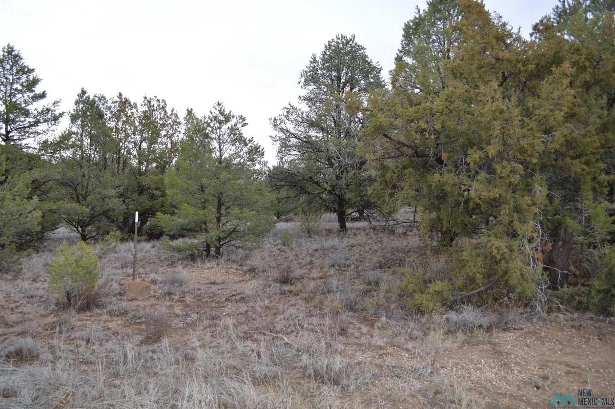 LOT 5 God's Acre Road, Zuni Ramah Navajo, NM 87357 - Image #1