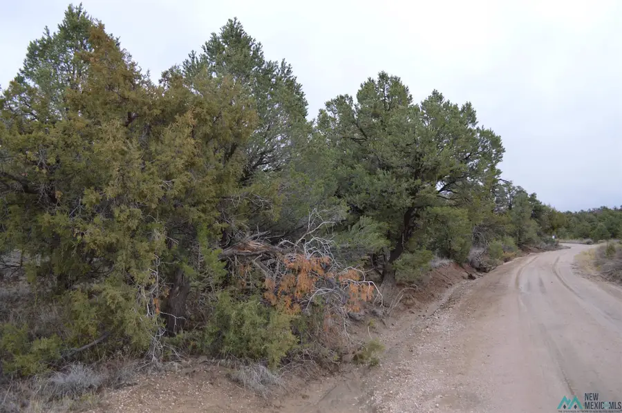 LOT 5 God's Acre Road, Zuni Ramah Navajo, NM 87357 - Image #2
