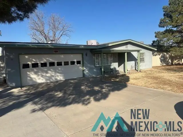 3004 Ocotillo Canyon Drive, Carlsbad, NM 88220 - Image #2