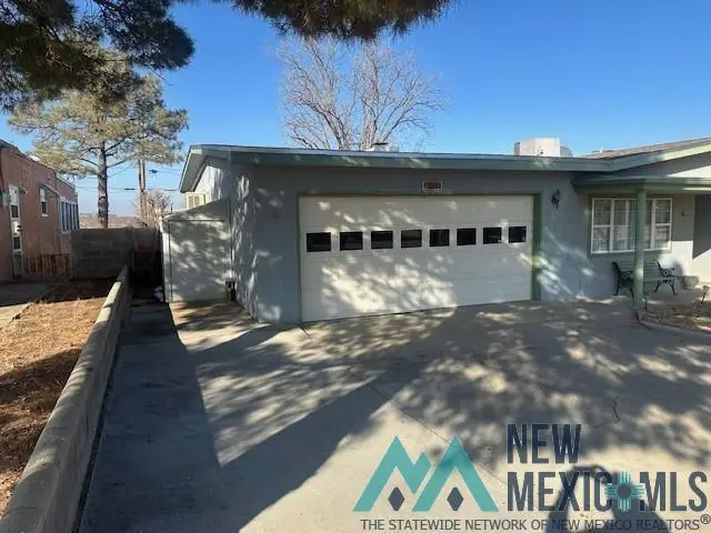 3004 Ocotillo Canyon Drive, Carlsbad, NM 88220 - Image #3