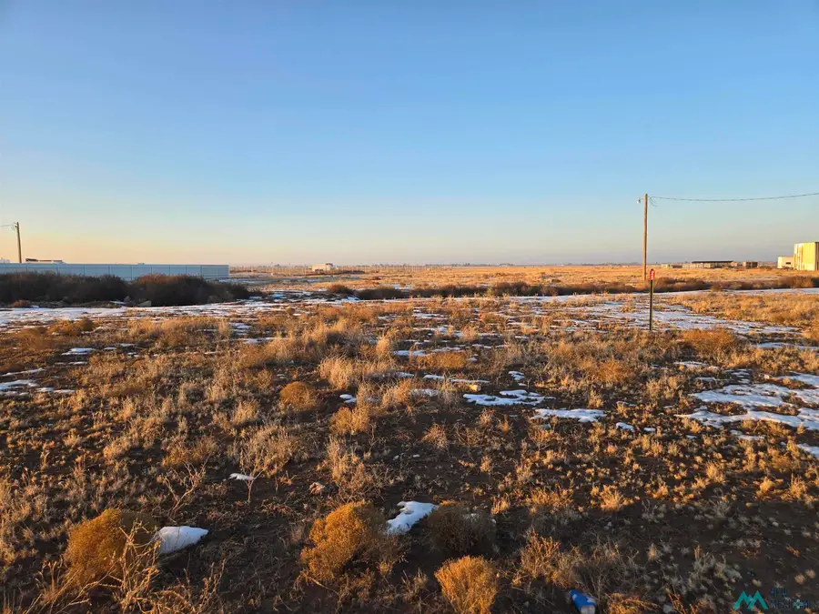 25 Carrol Street, Dexter, NM 88230 - #2