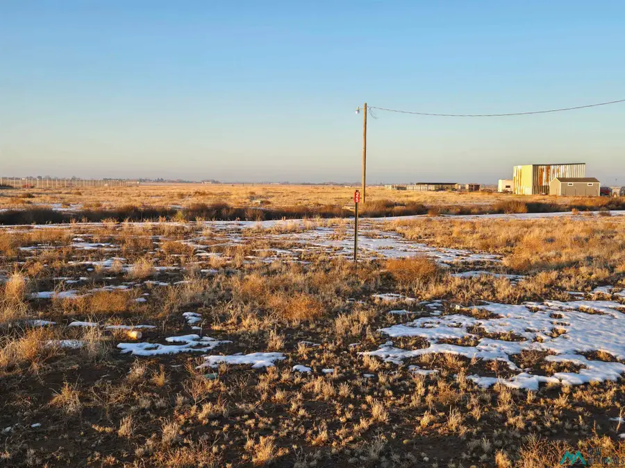 25 Carrol Street, Dexter, NM 88230 - #3