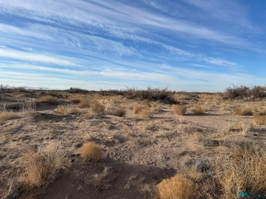 XXXX Acoma Rd Sw, Deming, NM 88030 - Image #3