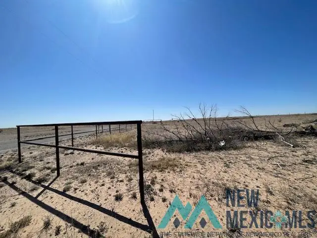 42 Lansing Road, Dexter, NM 88230 - #2