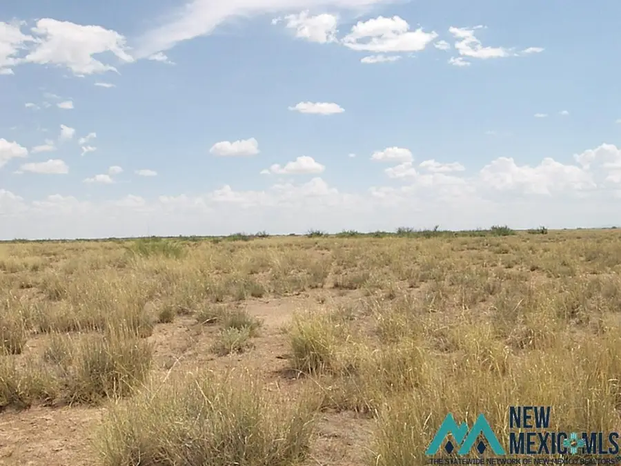 0000 Cebada Rd Se, Deming, NM 88030 - Image #2