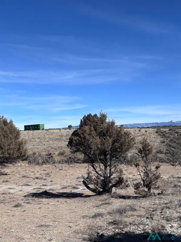TBD Lot 96 Unit 6, Tierra Amarilla, NM 87575