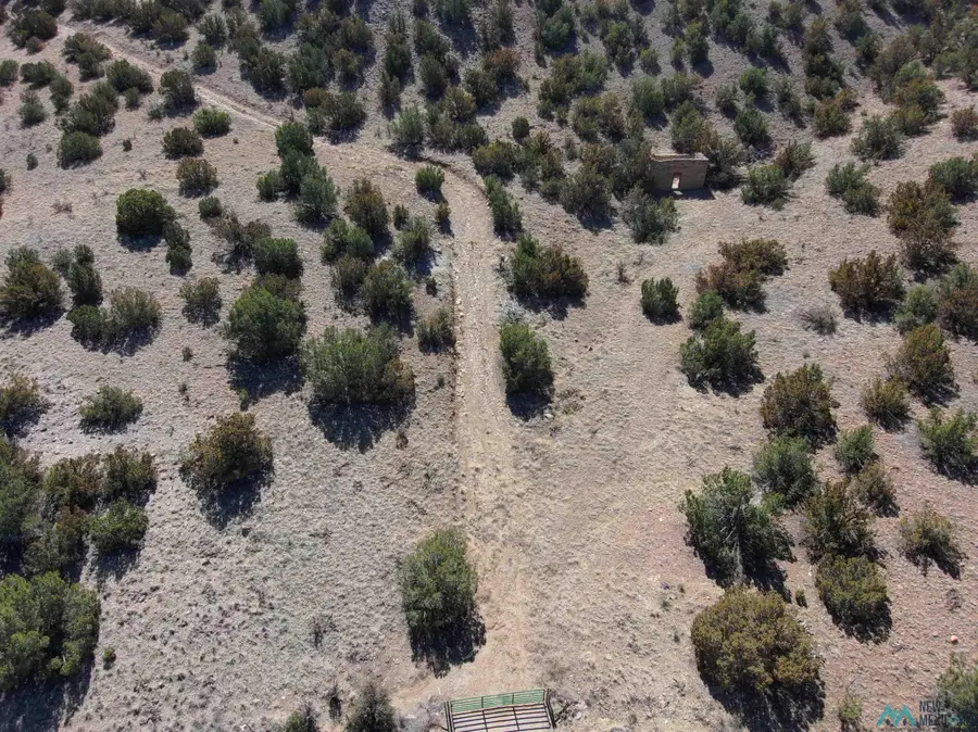 2912 N Highway 14, Cerrillos, NM 87010 - #3