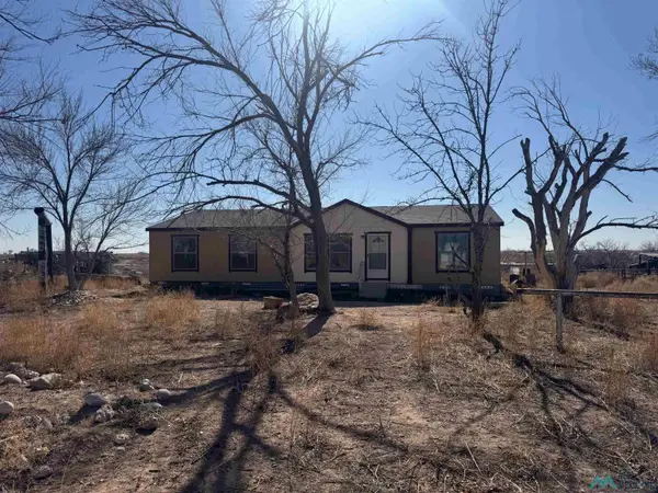 185 E Blevins Road, Artesia, NM 88210