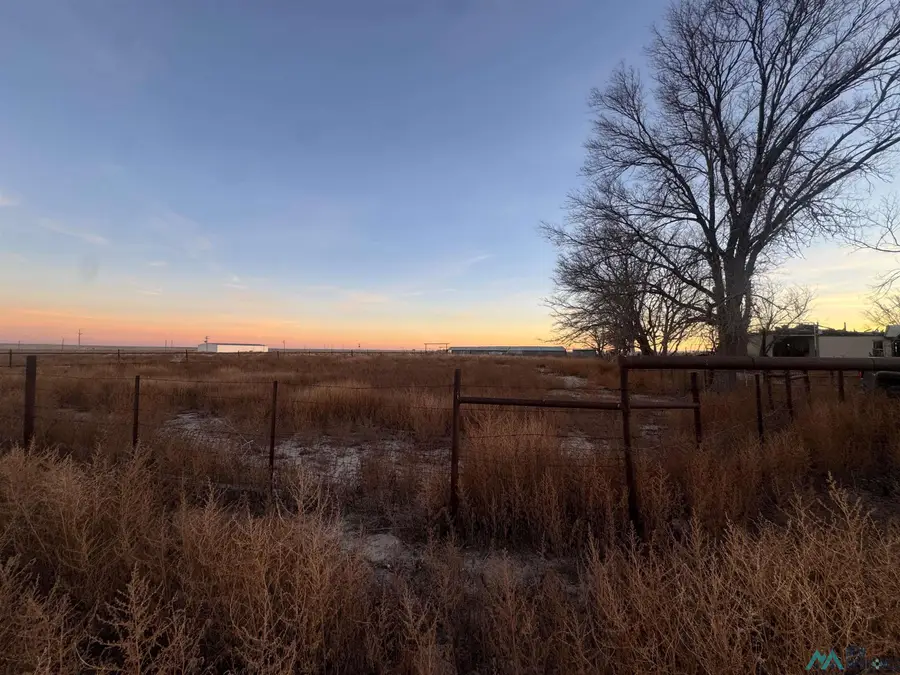 185 E Blevins Road, Artesia, NM 88210 - #2