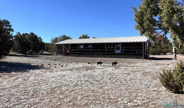 12 Bridle Trail Road, Quemado, NM 87829