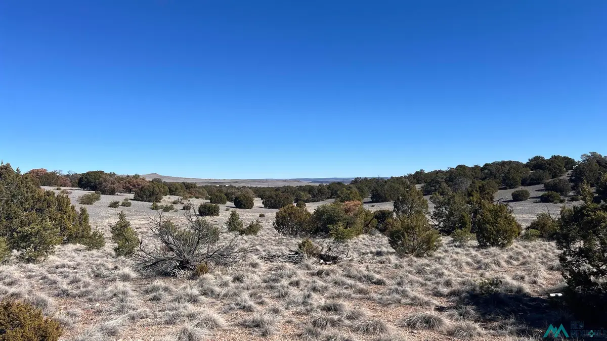 TBD Cimarron Drive Road, Quemado, NM 87829 - #1