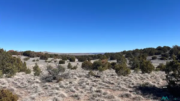 TBD Cimarron Drive Road, Quemado, NM 87829