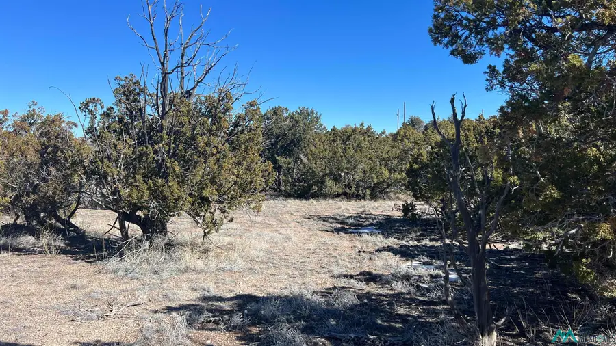 TBD Cimarron Drive Road, Quemado, NM 87829 - #3