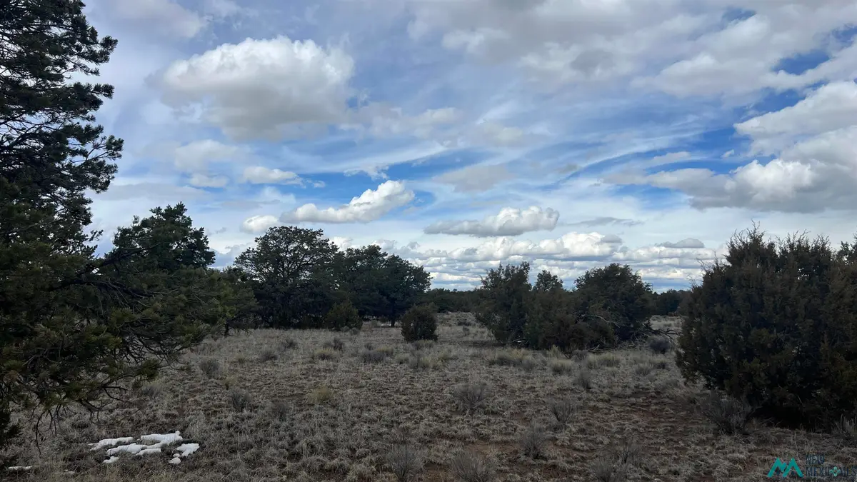 TBD Native Drum Pass Road, Fence Lake, NM 87315 - #1