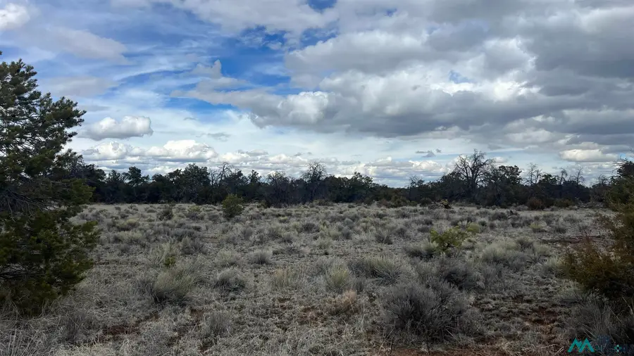 TBD Native Drum Pass Road, Fence Lake, NM 87315 - #2