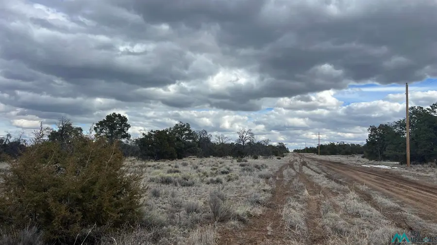 TBD Native Drum Pass Road, Fence Lake, NM 87315 - #3